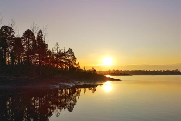 Pappilanniemi marraskuu 2019.jpeg