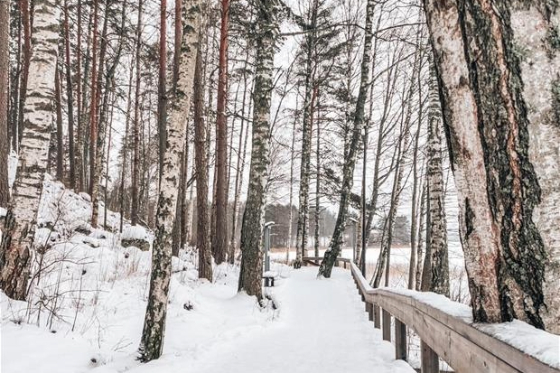 Rantaraitti talvella (1).jpg