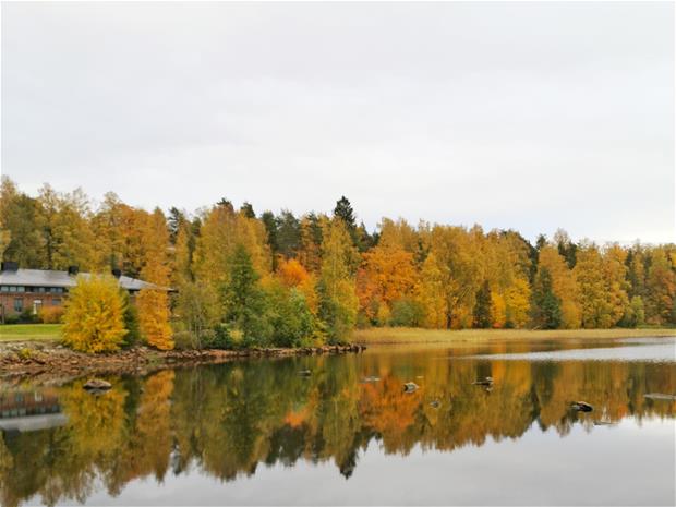 Rantaraitti syksyllä Natalja Zeleznjakova.jpeg