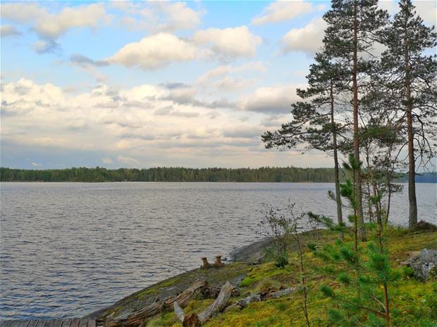 Muukonsaaren kalliorannat.
